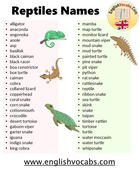 alphabetical list of reptiles.